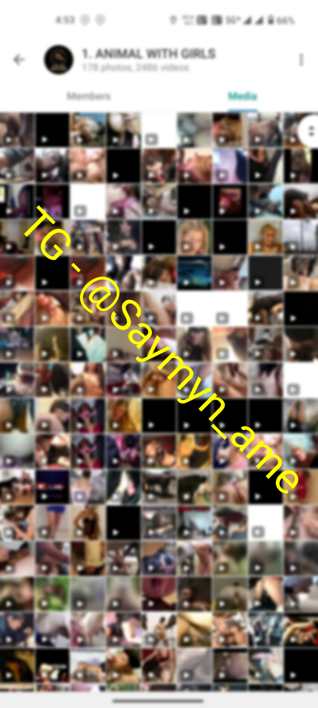 RP VIDEOS