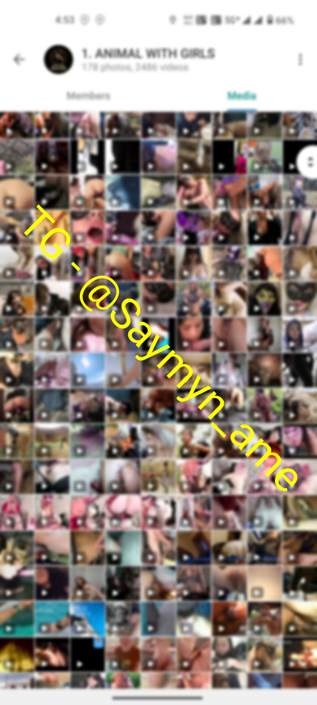 RP VIDEOS